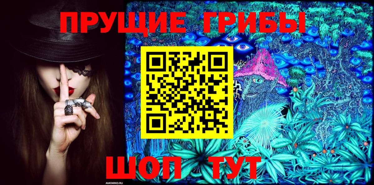 Галлюциногенные грибы Psilocybine cubensis Кондопога